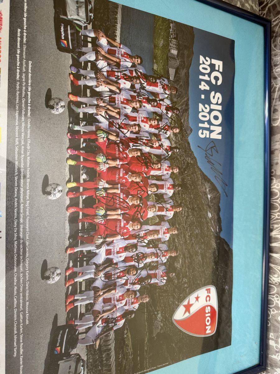 Autographes: FC Sion 14-15 – D'occasion à Ardon par Leonel-C