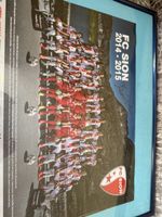 FC Sion 14-15