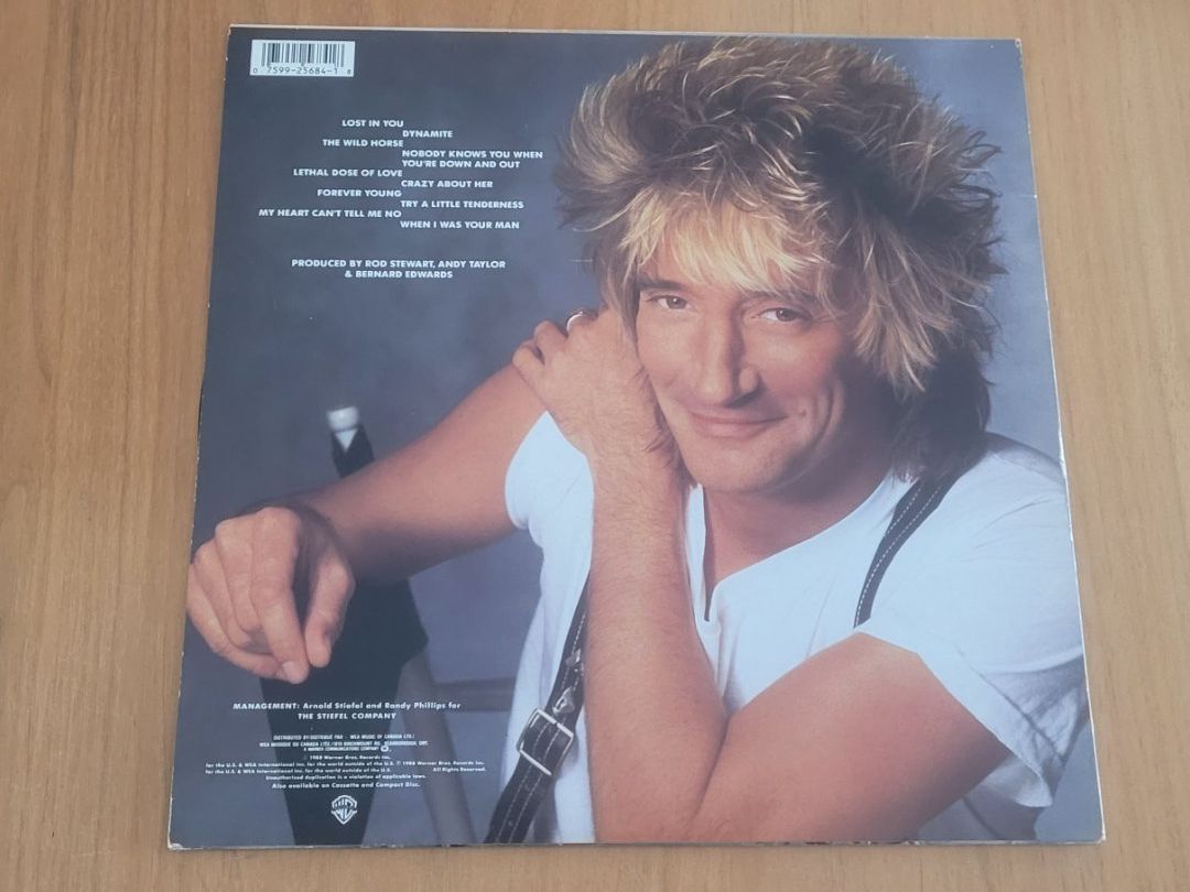 Dischi in vinile: LP Rod Stewart – Usato da Martigny venduto da MZ-67 1