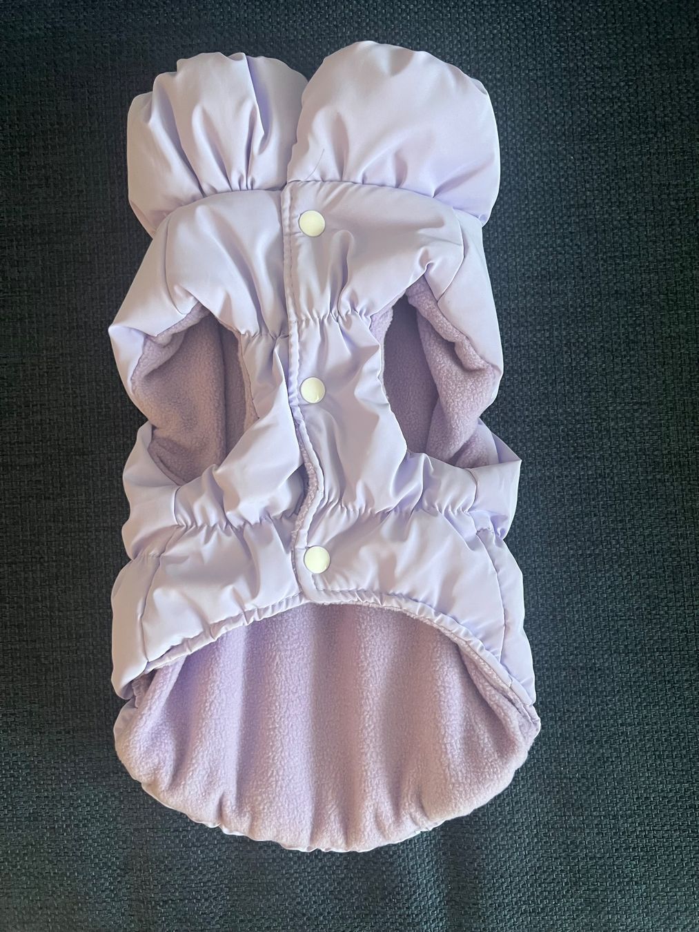 Abbigliamento: Süssester Hundemantel 30cm – Nuovo (secondo la descrizione) da Zürich venduto da supertrulla 2