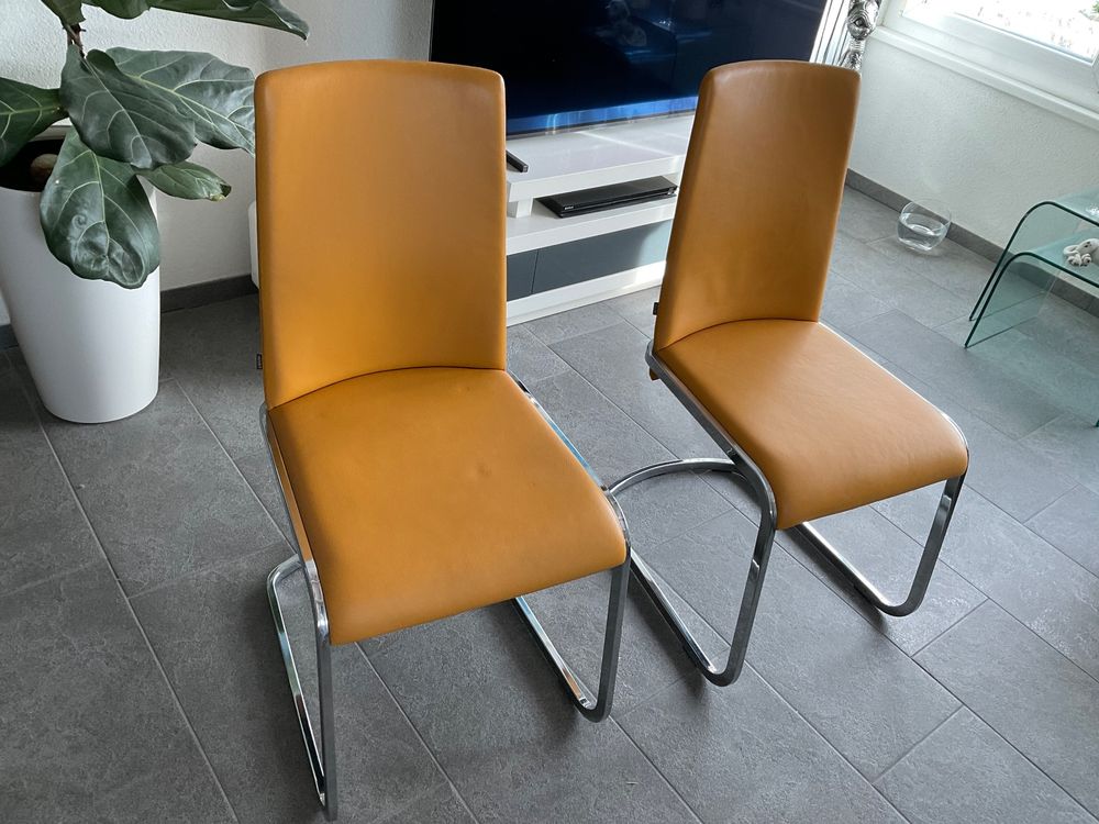 4 Freischwinger Stühle Team 7 aus Leder Kaufen auf Ricardo