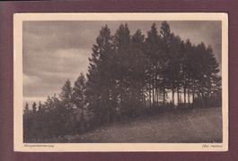 Morgendämmerung bei HEIDEN