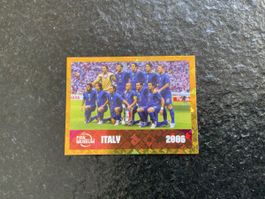Panini Bild FWC 17