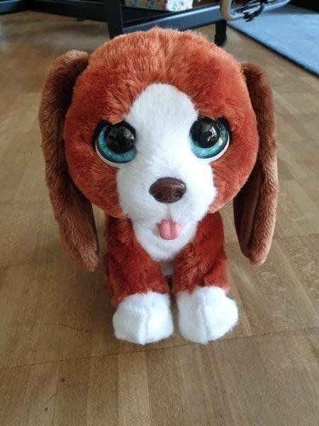 FurReal Giocattoli: Fur Real Hector – Usato da Wil SG venduto da Drop4 2