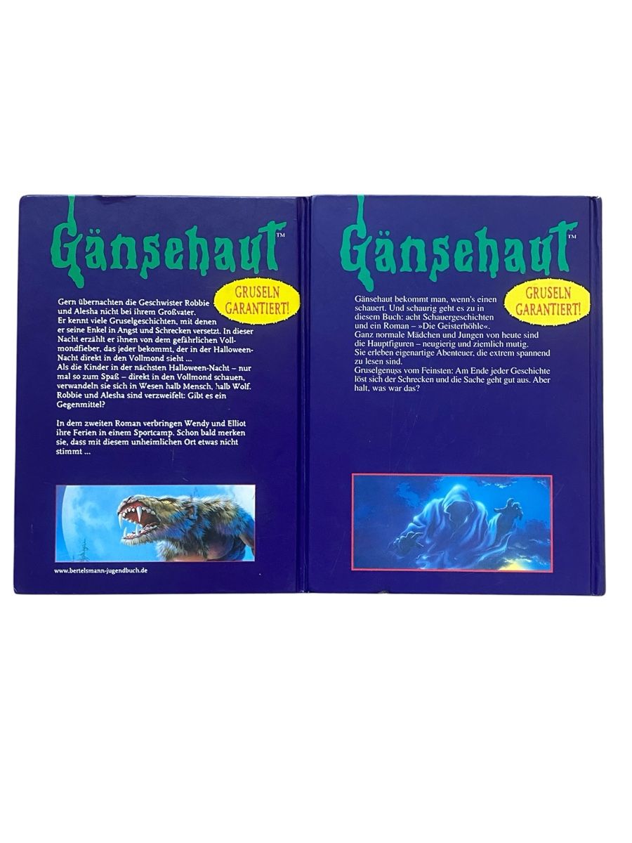 Libri: R.L. Stine 2 Gruselbücher – Usato da Bonstetten venduto da zweitihand.shop 2