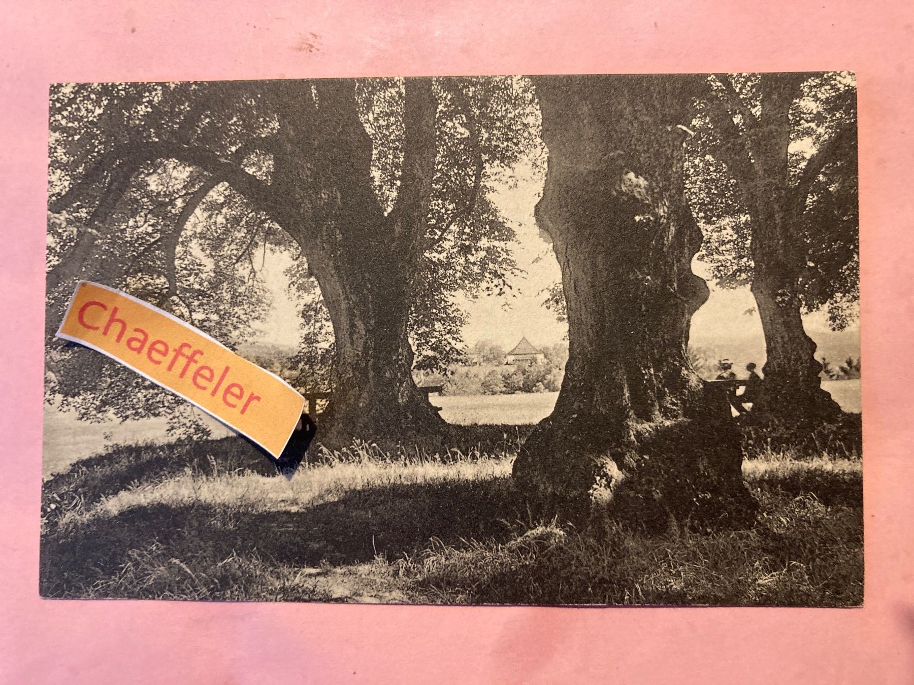 Cartoline postali: Zofingen, Heiterenplatz – Usato da Zürich venduto da Chaeffeler