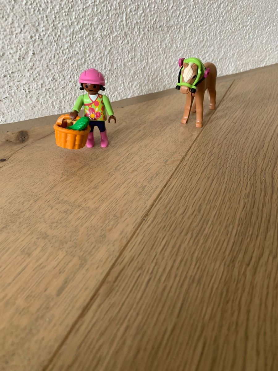 Playmobil Spielzeuge: Playmobil Pony mit Mädchen 70060 – Gebraucht aus Riedholz von Elch121 2