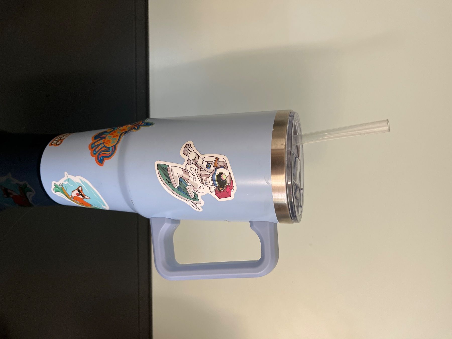 Borracce & Thermos: Bottiglia con cannuccia – Usato da Schliern b. Köniz venduto da sin_t5xk
