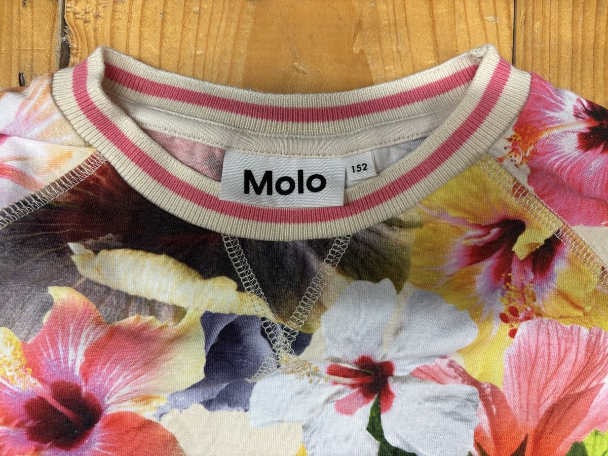 Molo Pullover & Sweatshirts: Molo Langarmshirt Mädels, Grösse 152 – Gebraucht aus Büren an der Aare von Nikito2001 1