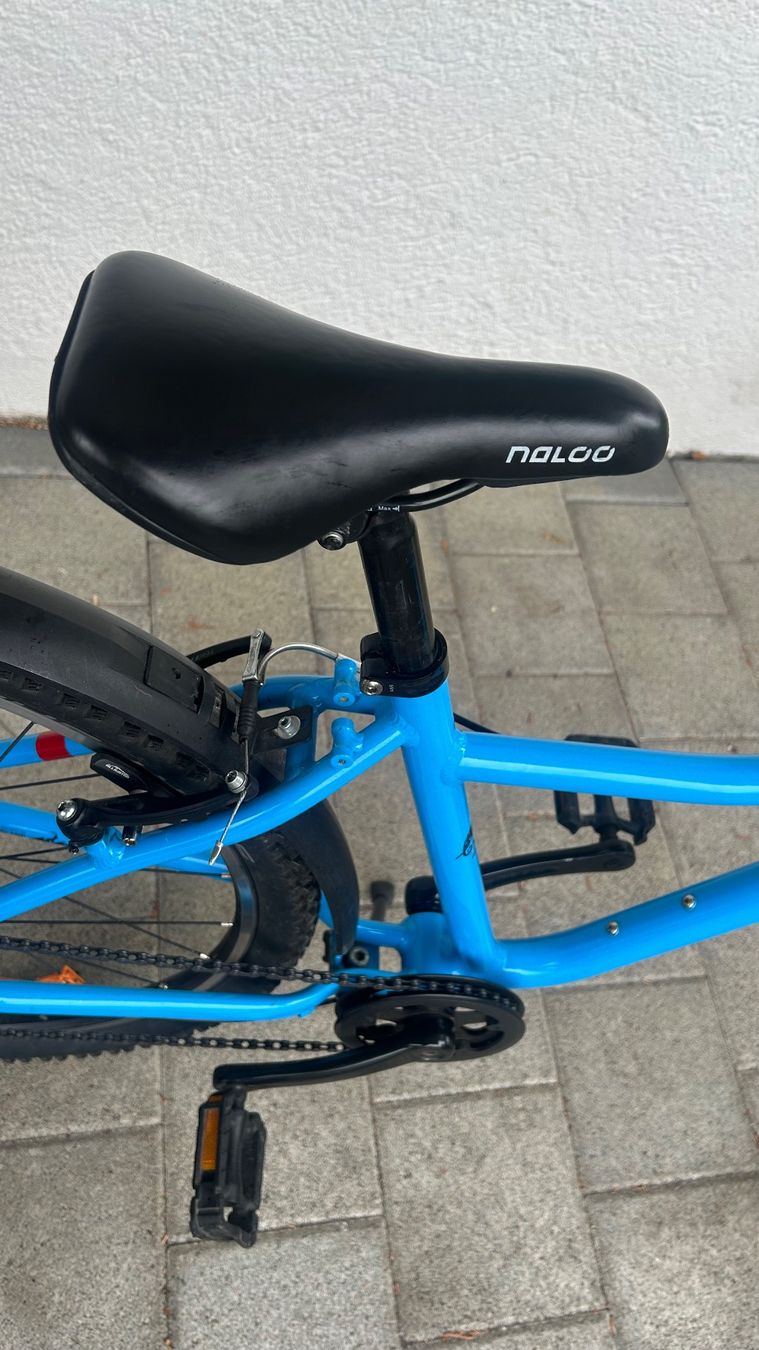 Biciclette: Naloo Chameleon 26" blau – Usato da Zofingen venduto da energystar 7