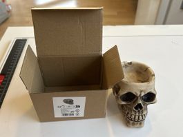 Aschenbecher Totenkopf Design Polyresin neu mit OVP(2I1)