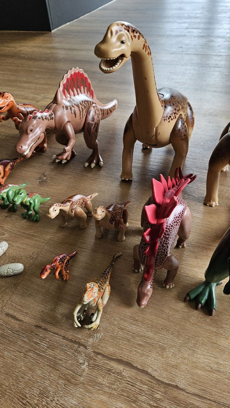 Playmobil Giocattoli: Playmobil Dinosaurier Set diverse  – Usato da Rüti ZH venduto da Pacey0 3