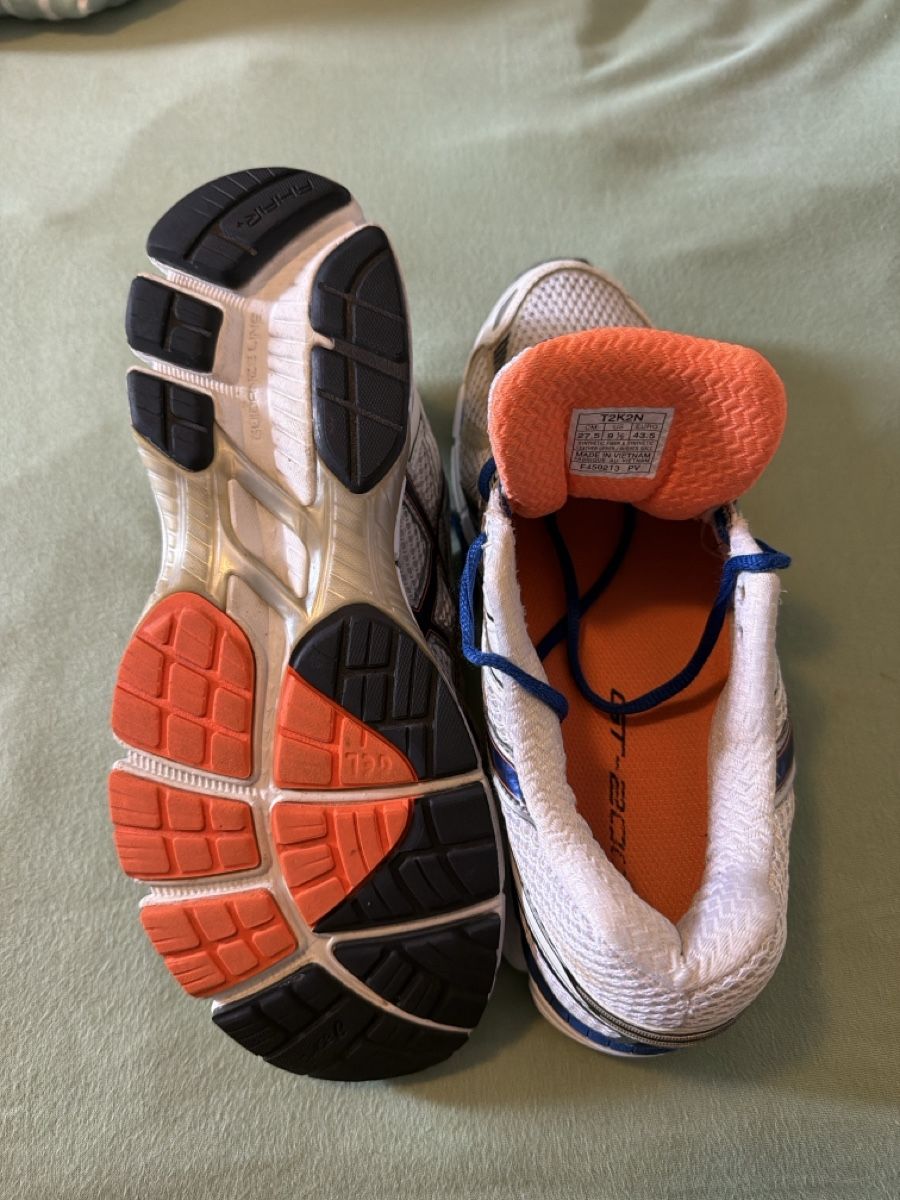 Asics Scarpe da uomo: ASICS GT-2000 – Usato da Sementina venduto da bru_vpp5 4