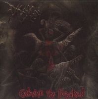 Disgorge - Consume...