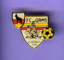 FC GAMS