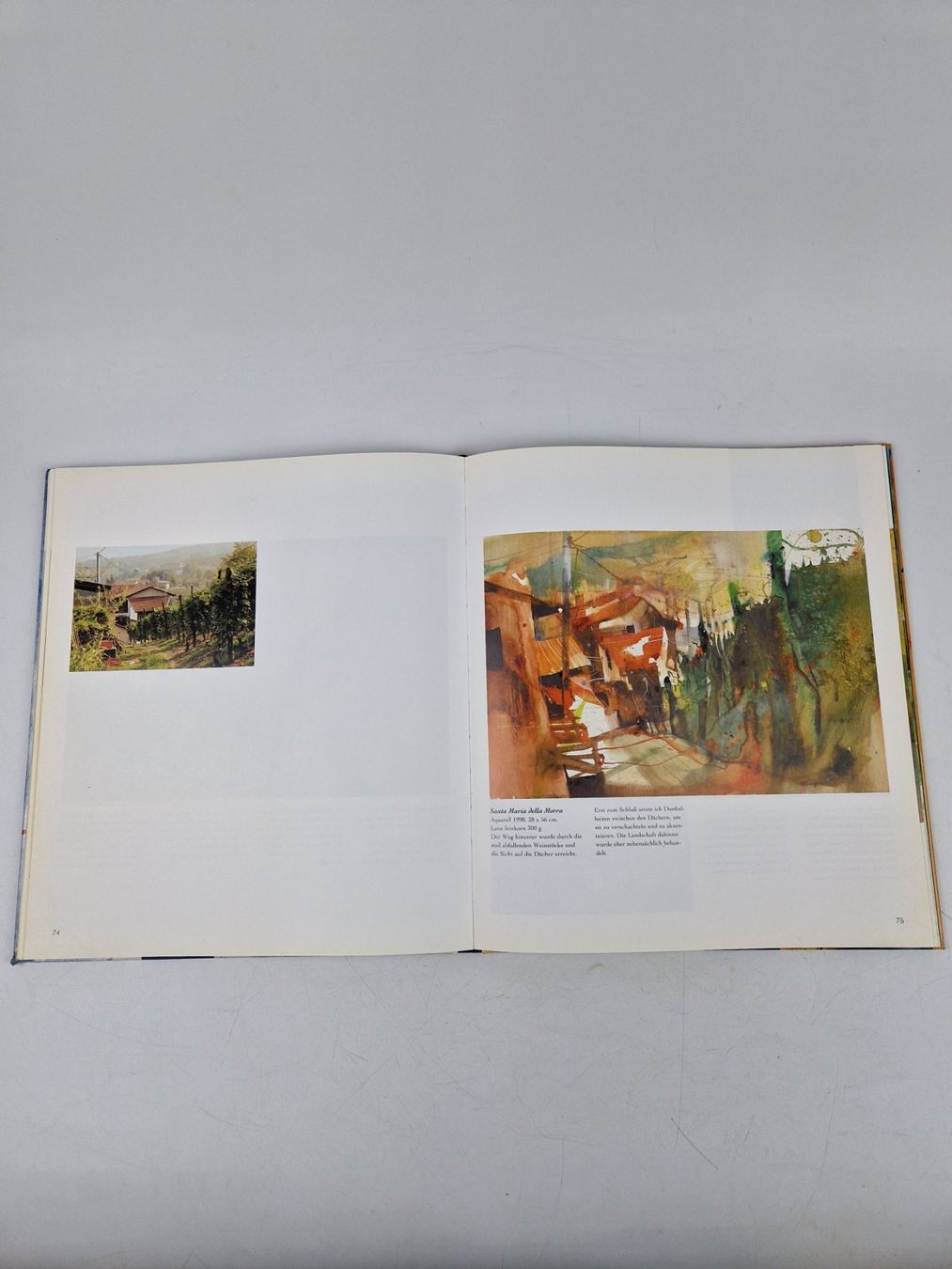Libri: Aquarelle BLUMEN LANDSCHAFTEN STÄDTE – Usato da Muhen venduto da Restwert_Muhen 2