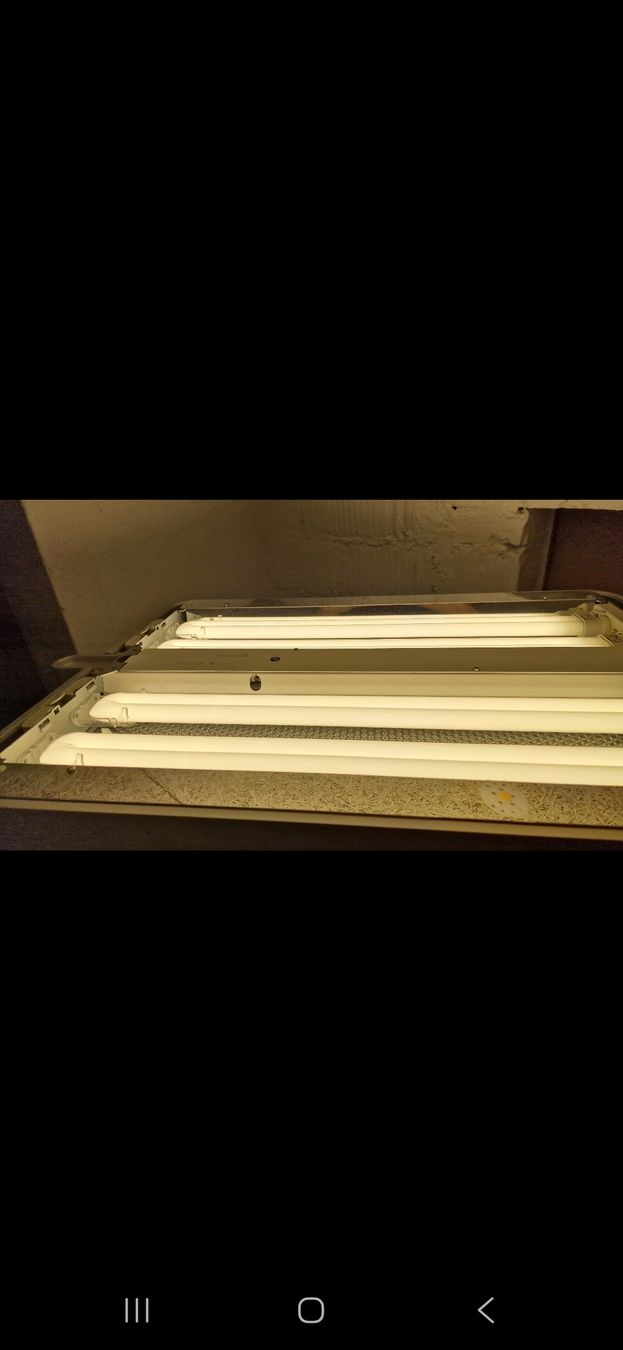 Lampade: Büro Stehlampe Waldmann – Nuovo (secondo la descrizione) da Urtenen-Schönbühl venduto da ger_lv75 6