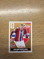 Erling Haaland EXTRA STICKER Bronze