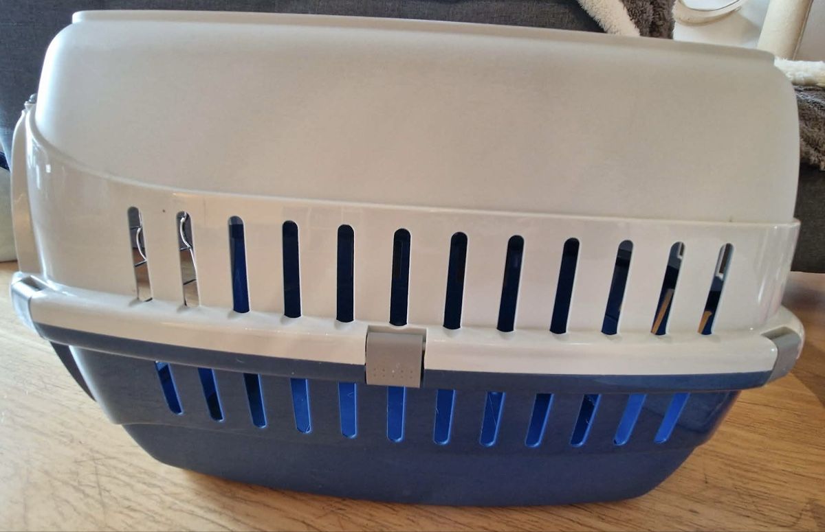 Gabbie, trasporto & Sicurezza: Transportbox für Katze oder Hund, neuwertig – Nuovo (secondo la descrizione) da Hittnau venduto da Katzenherz 1