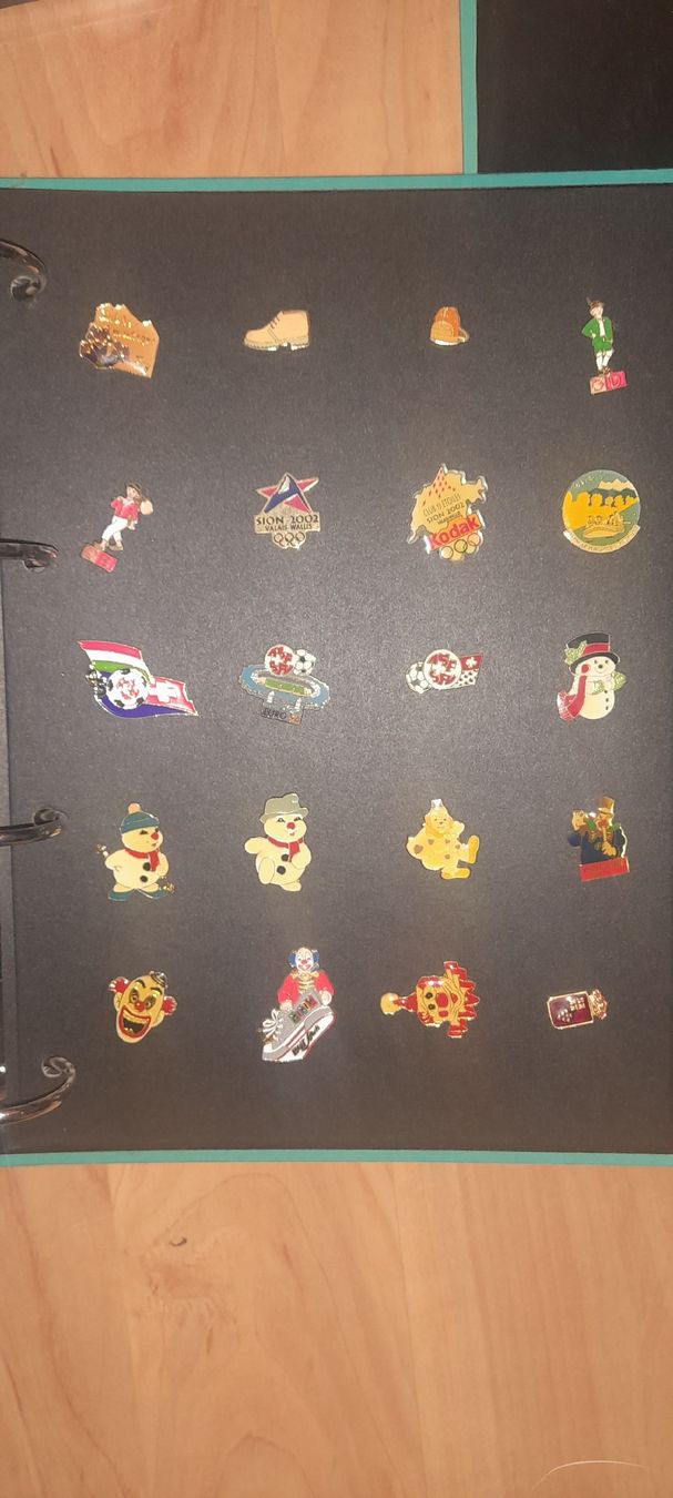 Placchette & Badge: Collection de Pin's divers - Classeurs inclus – Usato da Gals venduto da Ben-j 6