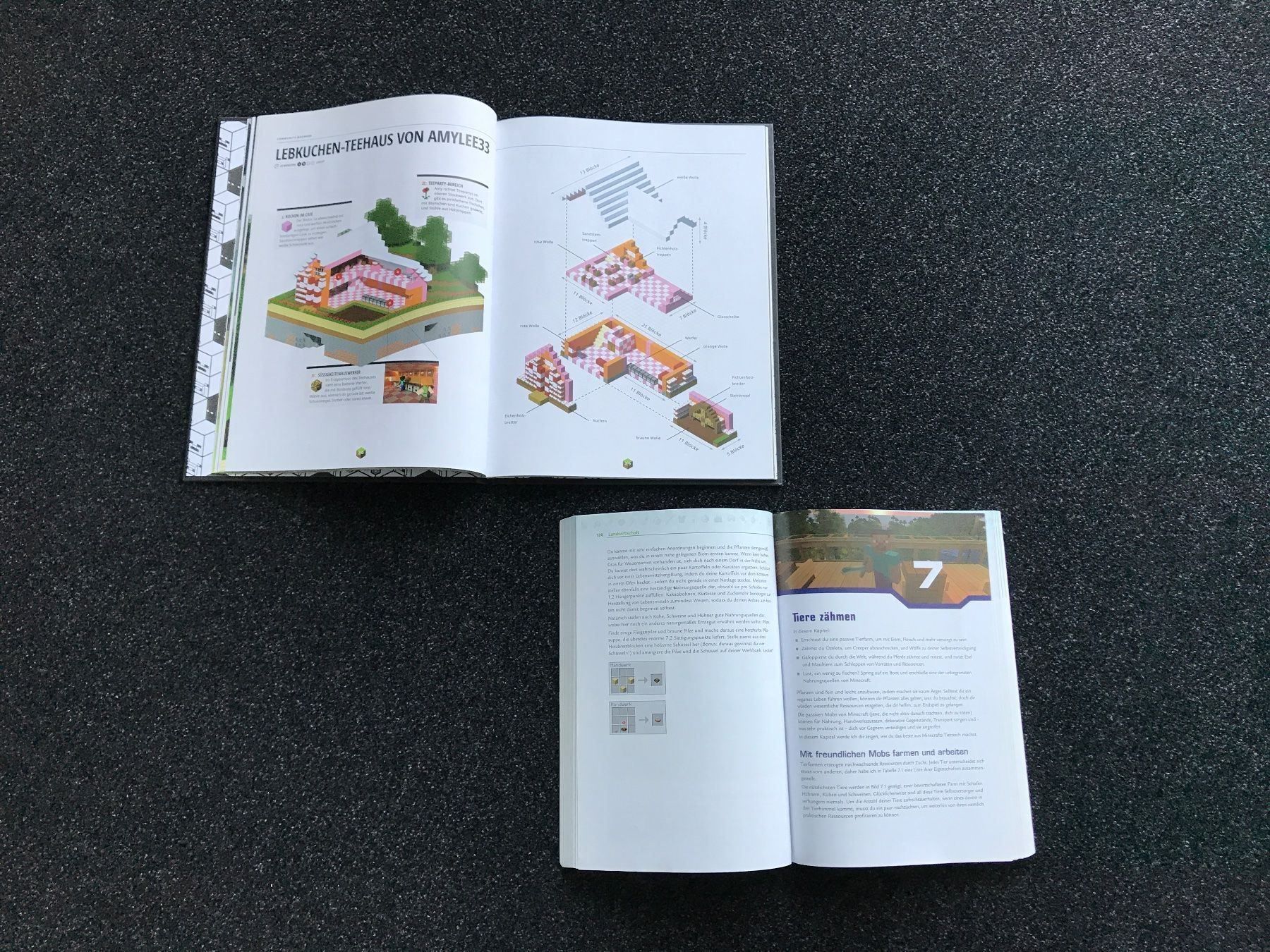 Libri: 2 Minecraft Bücher – Usato da St. Margrethen SG venduto da kellenbh 1