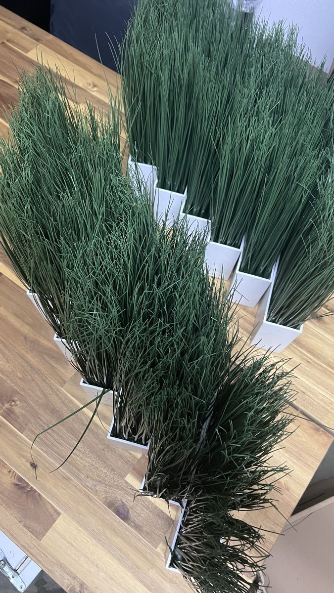 Ikea Tutte le decorazioni: 12 Kunstgras Pflanzen IKEA  mit weissem Topf Grösse – Usato da Wil SG venduto da mia2016 2