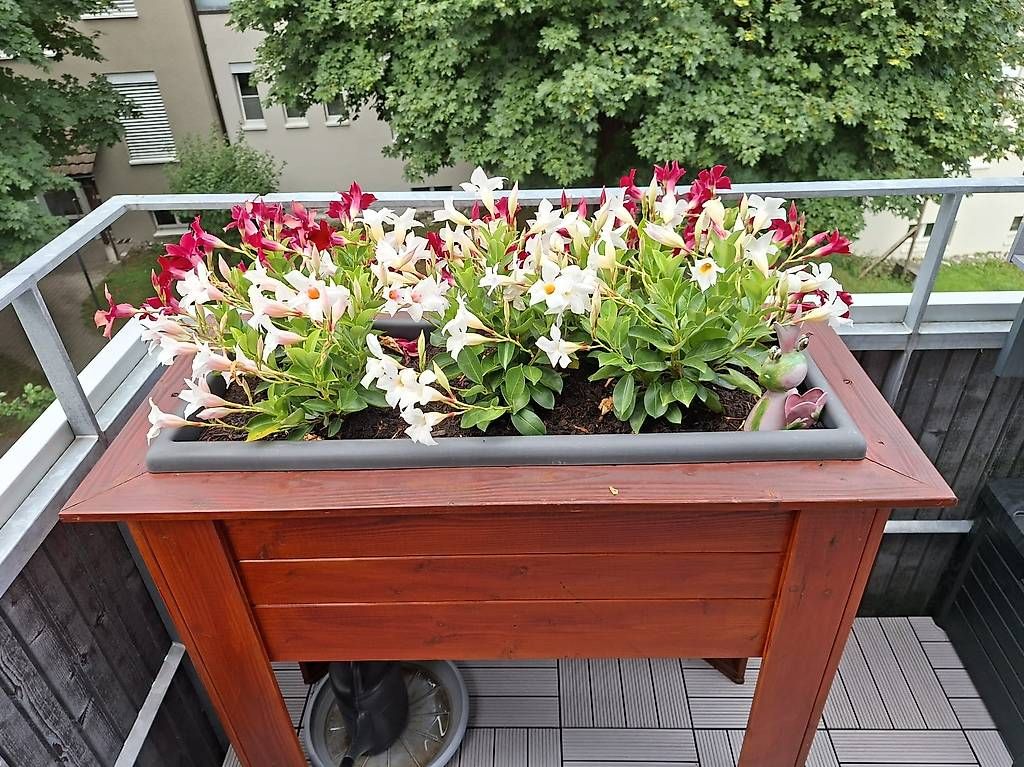 Vasi per fiori: Hochbeet – Usato da Oberbüren venduto da sil_xzt2 1