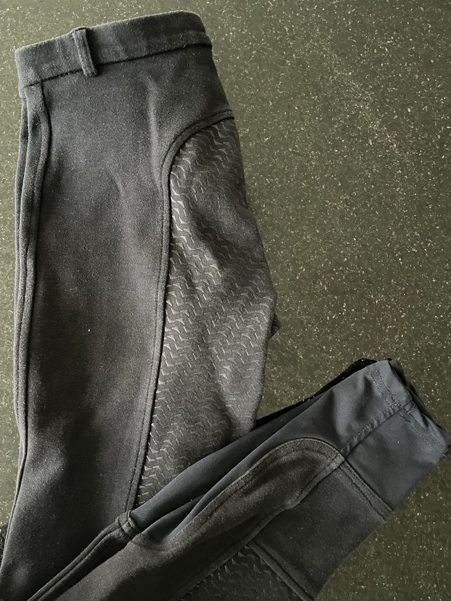Hosen: ELT Reithose Gr. 36, blau – Gebraucht aus Auw von chr_vcc8 4