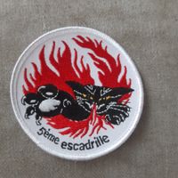 Schweizer Luftwaffe Patch Fliegerstaffel 5