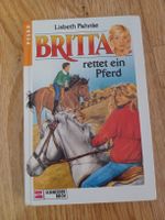 Brita rettet ein Pferd - Pferdebuch für junge Leseratten!