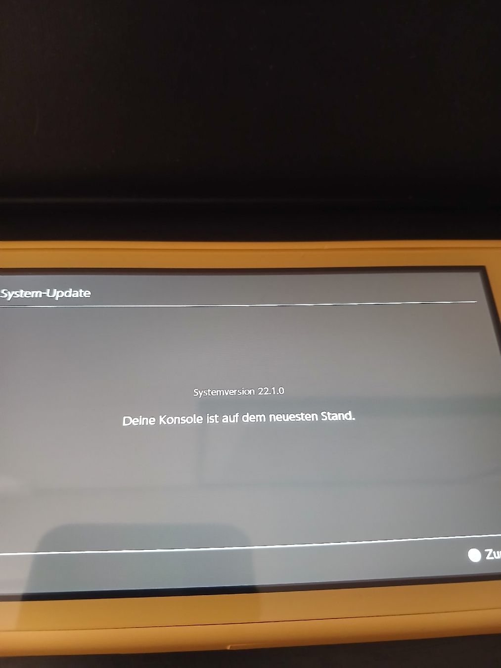 Nintendo Console: !!! Nintendo Switch Lite!!! – Usato da Reinach BL venduto da Ibizo69 1