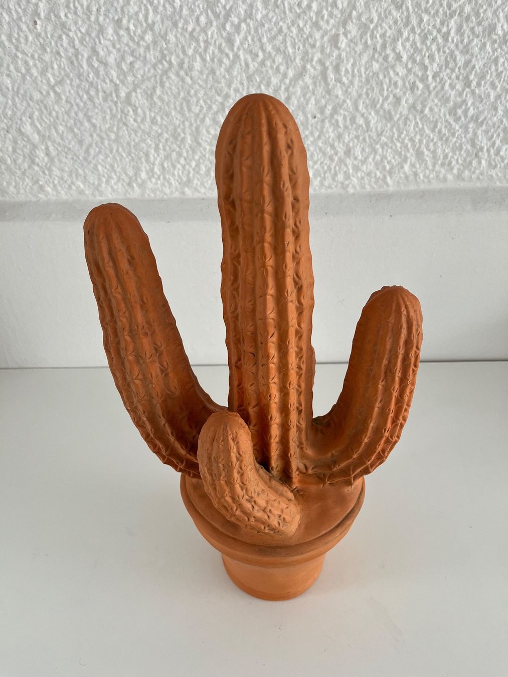 Tutte le decorazioni: Kaktus aus Terracotta – Usato da Wetzikon ZH venduto da seli03 1