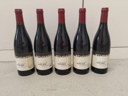 Studach, Pinot Noir 2000, 5 Flaschen, Gantenbein, Donatsch