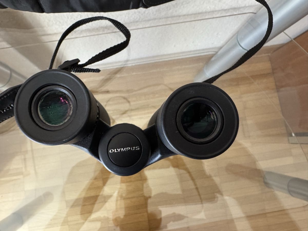 Olympus Feldstecher: OLYMPUS 8x25 WPl Feldstecher – Gebraucht aus Zunzgen von milesdavis76 1