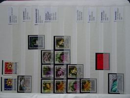 2002