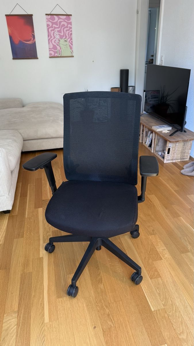 Sedie: Ergonomischer Bürostuhl – Usato da Solothurn venduto da MariMoon17 2