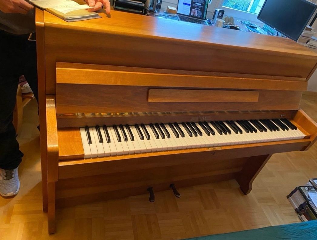 Strumenti musicali: Klavier Rippen – Usato da Zürich venduto da JB23JB
