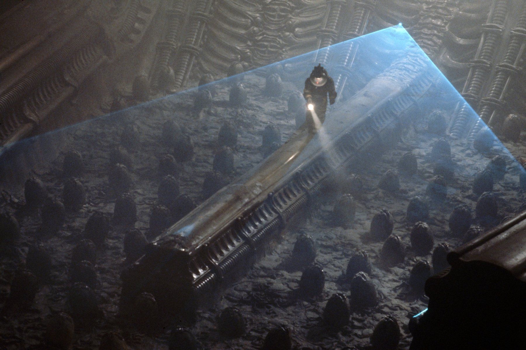 Tutti i DVDs: ALIEN Anthology + PROMETHEUS (1979-2012) Blu-ray-Collection – Usato da Volketswil venduto da cinephi1ia 5