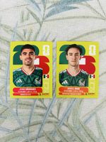 Panini MEX 12