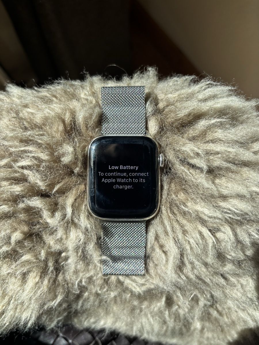Apple Smartwatch: Apple Watch Series 5 – Usato da Winterthur venduto da strawberry14 2