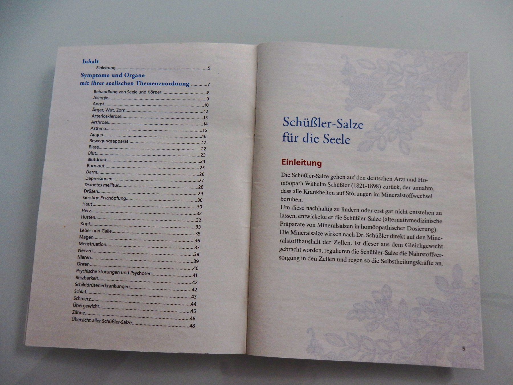 Libri: Zwei Bücher Schüssler Salze – Usato da Bellmund venduto da flo50 2