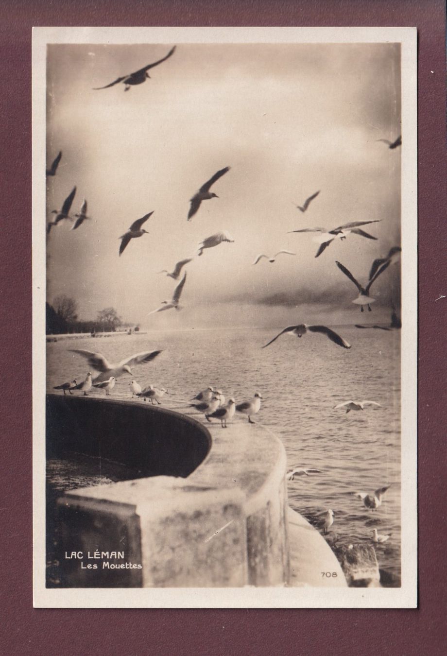Ansichtskarten: LAC LEMAN - Les mouettes – Gebraucht aus Pully von nicecards