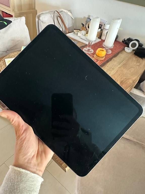 Tablet PC: I Pad Pro 11 (3gen) 2024 – Usato da Seuzach venduto da N.Klimsa 2