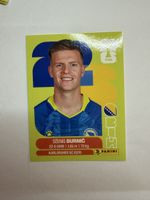 Panini FIFA Dženis Burnić, BIH 14
