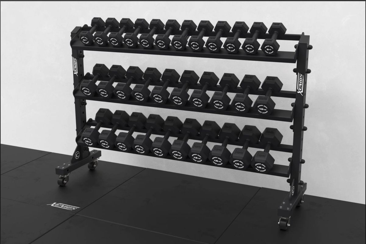 Accessori: HEX Hantel Rack bis 450kg – Usato da Bubikon venduto da ReneKa