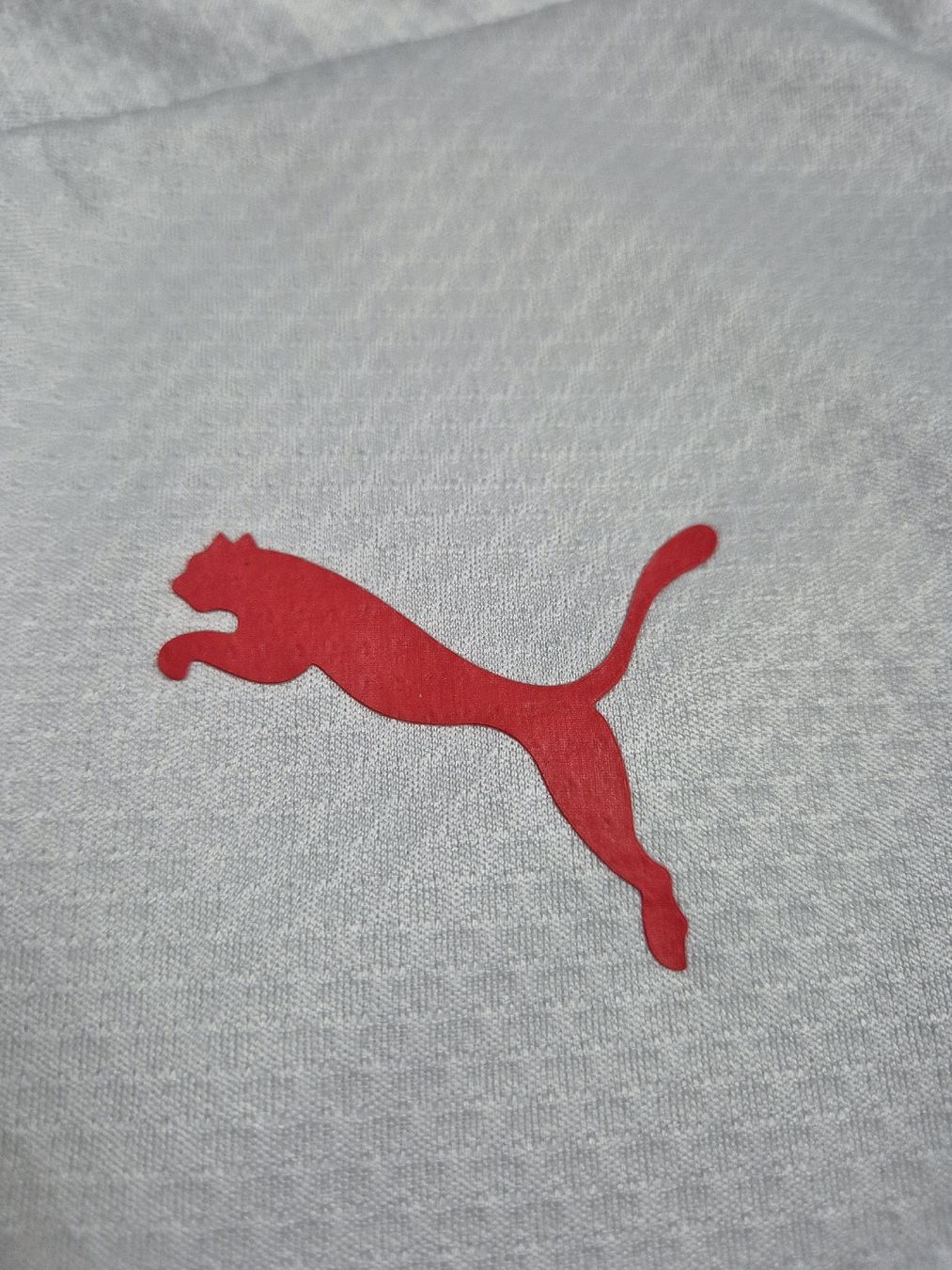 Puma Giacche: Puma 23/24 AC Mailand Trainingsjacke Gr. M – Usato da St. Gallen venduto da CaliSunshine 3