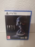 PS5 Game Until Dawn