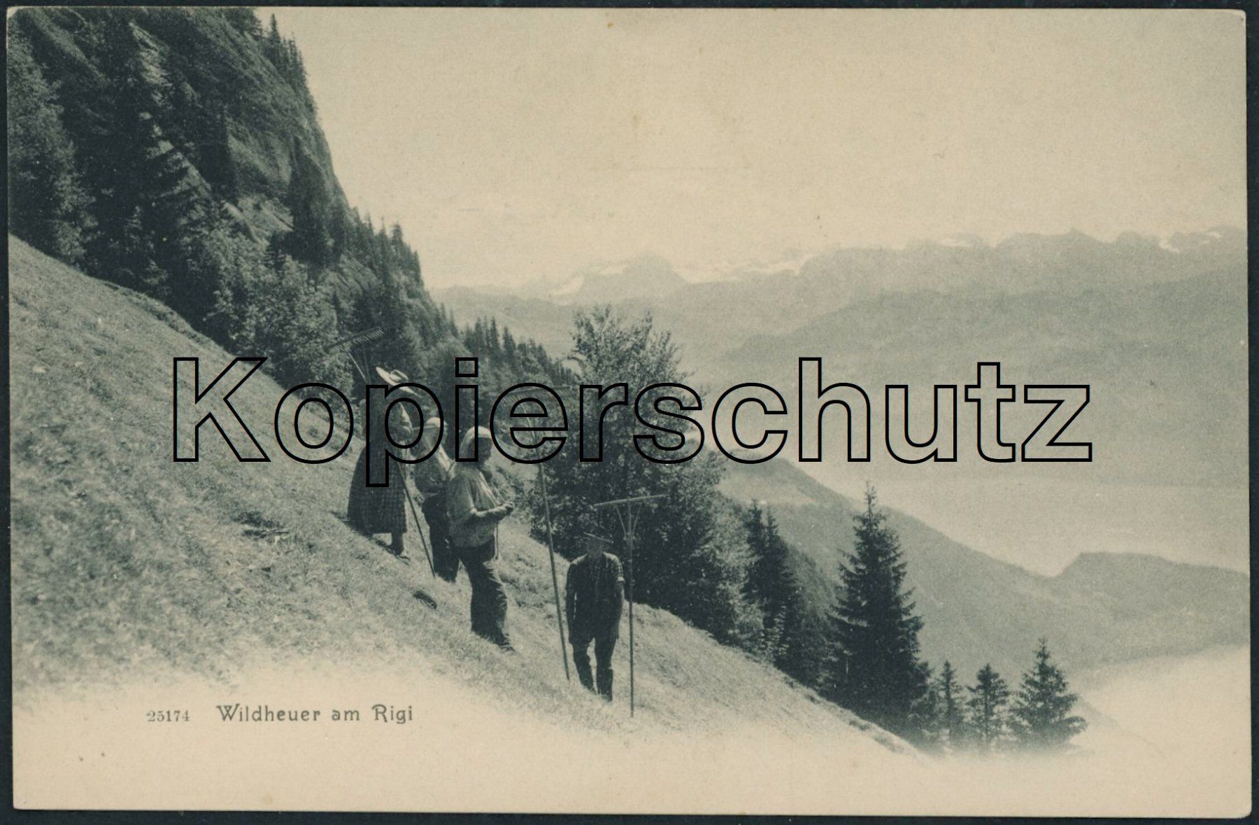 Cartoline postali: SZ Rigi - Landwirtschaft – Nuovo (secondo la descrizione) da Schindellegi venduto da leecollect