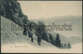 SZ Rigi - Landwirtschaft