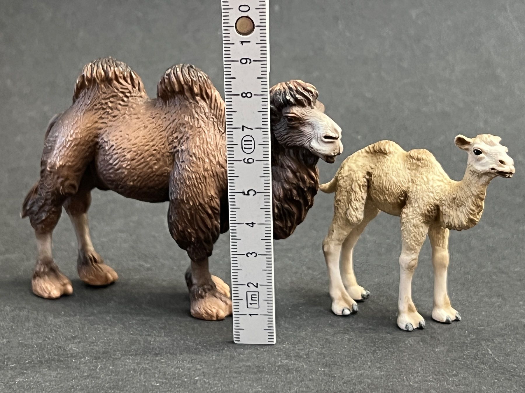 Schleich Statuette: Schleich Trampeltier Kamel Fohlen – Usato da Ennetbaden venduto da mapa05 1